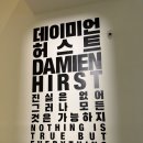 🦈상어 작품 실물 영접! 데이미언 허스트 전시 솔직후기