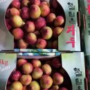 병준 농장 이미지