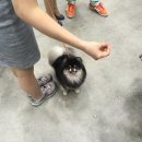 에버노블 이미지