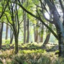 의성골프랜드 이미지