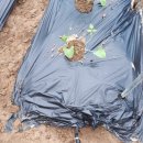 태인농장 이미지