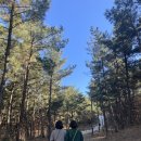 청하시장 이미지