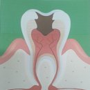 덴탈365치과의원 이미지