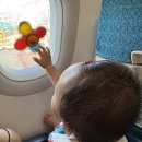 441 | 9개월 아기와 함께한 베트남항공 VN441 ,VN440 나트랑 후기 ✈️