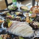황금오징어 활어회센터2 | 속초 애견동반 횟집 추천 장사항활어회센터 봉포한일수산 후기