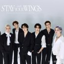 스테이ㅎ 이미지