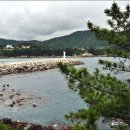 감나무식당 이미지