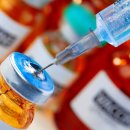 28245-02-07-001 | 모더나 mRNA 암백신, 세계 최초 3상 성공…주가 177% 폭등 이유 총정리