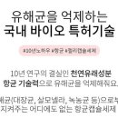 (주)조이앤드 네이버블로그