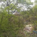 금마로공인중개사사무소 이미지