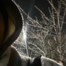 크라우드PC 대전용운점 | 대전 용운국제수영장 :: 수린이의 수영강습 초급반 한달 후기