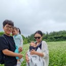 [제주한달살기]13일차 동식물도슨트 유진팡-카페다카포(in 표선)