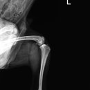 광주동물병원 이미지