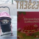 몽실하개 이미지