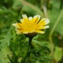 가야대학교생활관 이미지