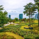 신서중앙공원 이미지