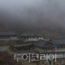 메디팜고려약국 이미지