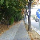 세교동 사거리 이미지