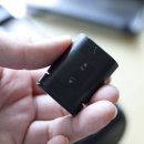 필립스(백합) 이미지