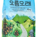 모래모래
