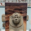 세계 박물관 탐험 이미지