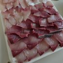 동해센타 | 부산 기장시장 회포장맛집 동해회센타 내돈내산 후기