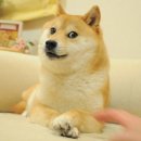 모아동물병원 이미지