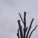 신성엘리베이터(주) 이미지
