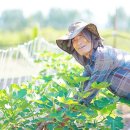 오아시스상일 네이버블로그