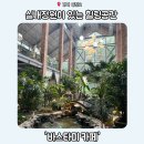 동탄 대형 카페 바스타미 실내정원 브런치 베이커리 후기