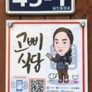 보고약업사 이미지