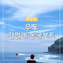 비석마을회 | 여름우도여행 필수코스 검멀레우도보트투어 스릴만점 가족체험후기