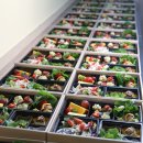 부산큰병원(급식실 포함) | [부산서구도시락] D대학병원 의료진 점심, 부산 수제 도시락 VIP4호의 정갈한 한 끼