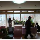 이화상조 이미지