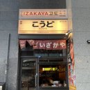 고도수원화서점 | 화서역 술집 [고도] 분위기 좋은 이자카야