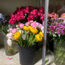 정류소매점 | 꽃집 : 💐꽃마카세💐만원의 행복을 누리자 &lt;꽃방비원&gt;