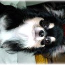 패밀리와와 이미지