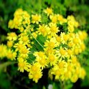 기원커피방 이미지