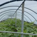 큰고을농원 이미지