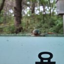 용포약수터 이미지