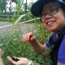 여주참숯마을 캠핑장 이미지