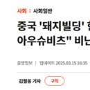 [펌] 돼지빌딩 파묘글 이미지