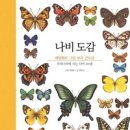 도감