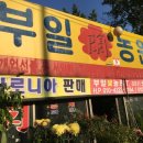 부일농원 이미지