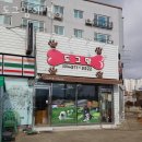 도그맘애견 이미지