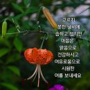 바램 - 부산진구 | 바램