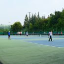 신트리공원(축구장) 이미지