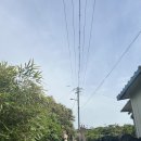 스테이레올 | 제주 스테이레올/독채 야외 자쿠지 내돈내산(+인생샷 팁