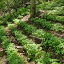 심원농장 이미지