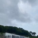 [충청남도 보령] 대천 카페 &#34;타미띠에&#34; 후기